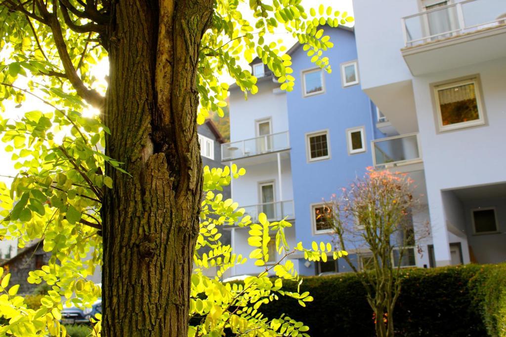 Hotel Ricarda Schlangenbad Esterno foto